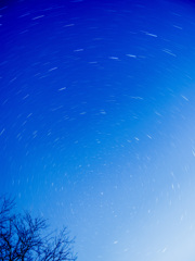 冬空の星