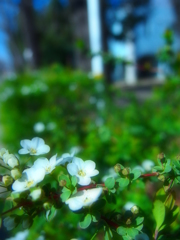 近所の公園にて