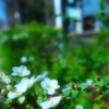 近所の公園にて