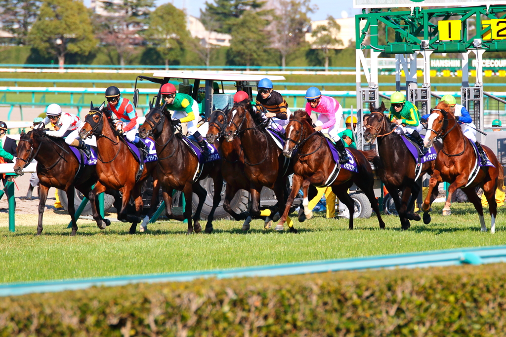 大阪杯、各馬一斉にスタート！