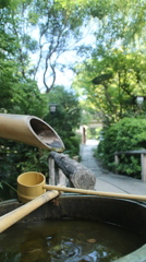 やっぱり流れない水