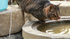 獲物を狙うような