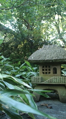 ひっそりと、鬱蒼と