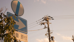 ここから先は