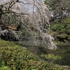 IMG_3417