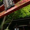 忘れられた場所