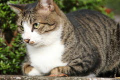 鋭く見つめる先