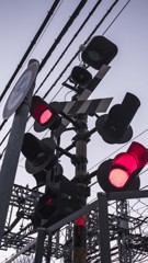 monoっぽい信号機