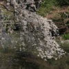 IMG_3418