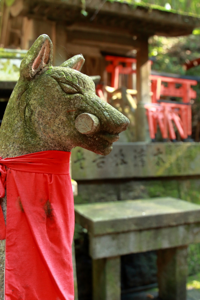 狐と朱と緑