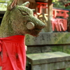 狐と朱と緑