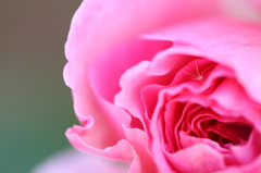 やさしさにつつまれて・・・