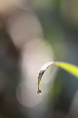 朝陽とともに・・・