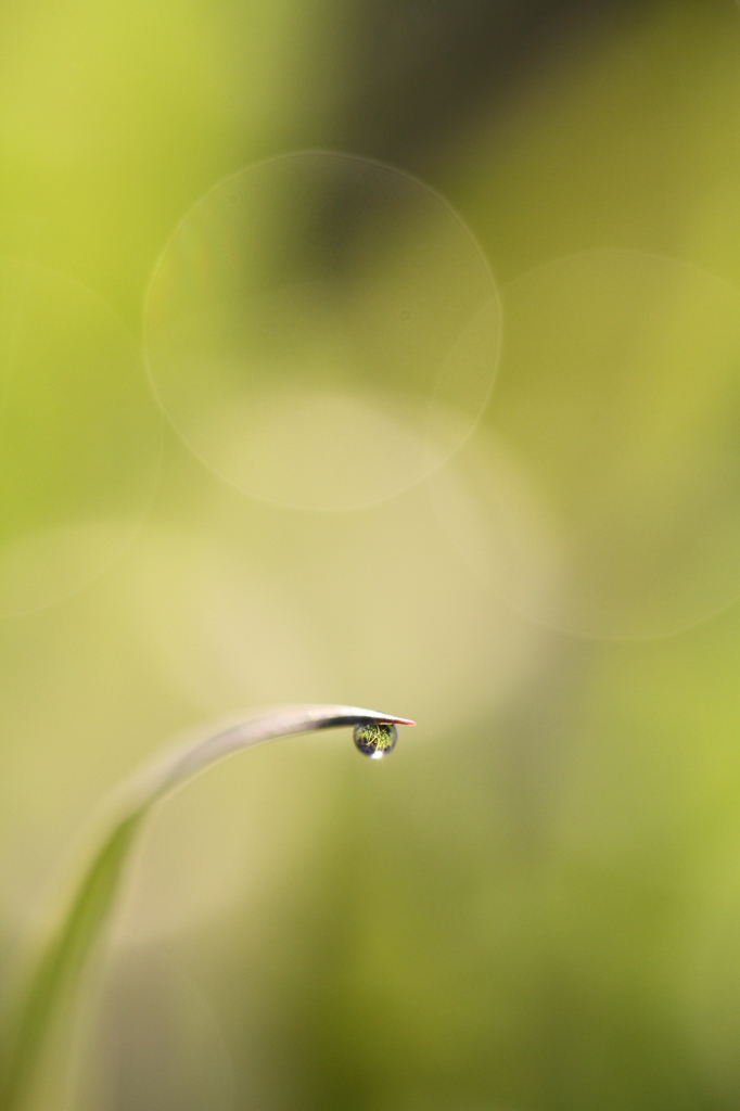 一粒の想い・・・