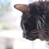 Birdwatching!