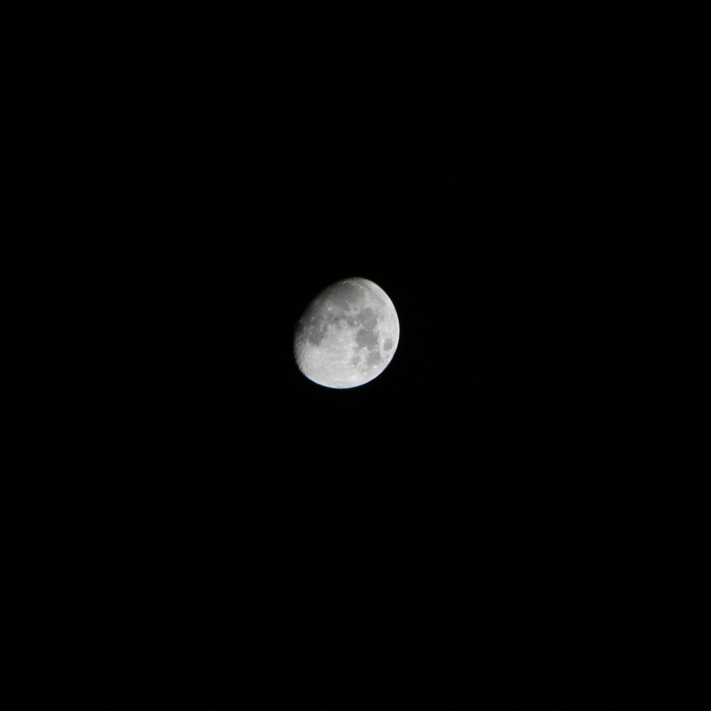 DPP_0007