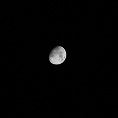 DPP_0007