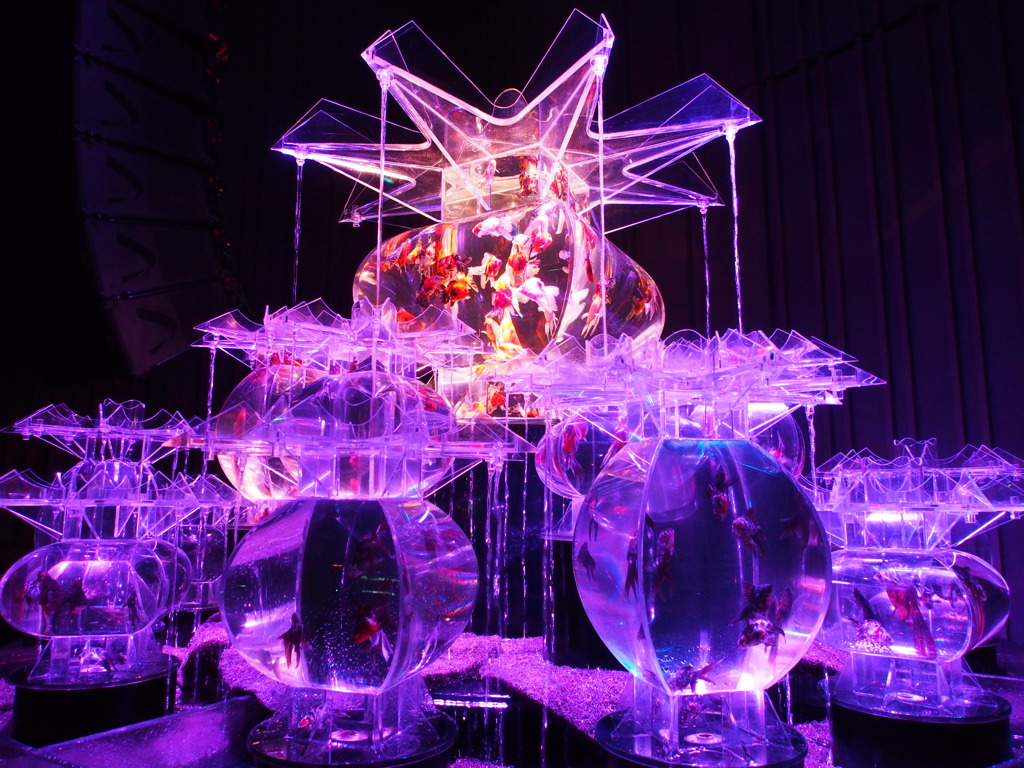 Art Aquarium
