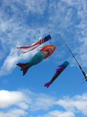 アラスカの空を泳ぐ人魚