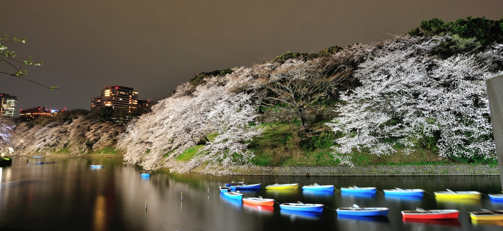 千鳥ヶ淵　夜桜　ボート