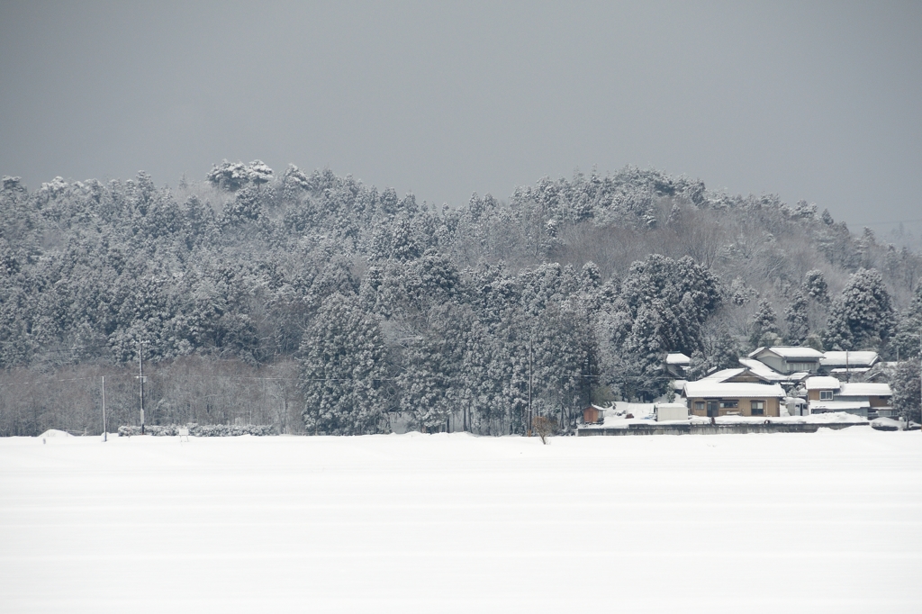 雪が止んだ。　田んぼ