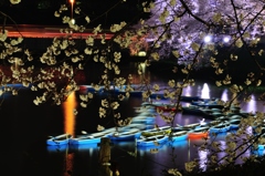 千鳥ヶ淵　夜桜　ボート