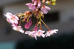 3月6日