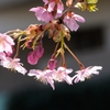 3月6日