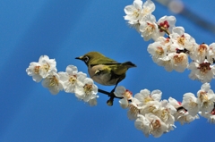 3月6日