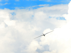 雲の上を飛ぶ　DSC_8435