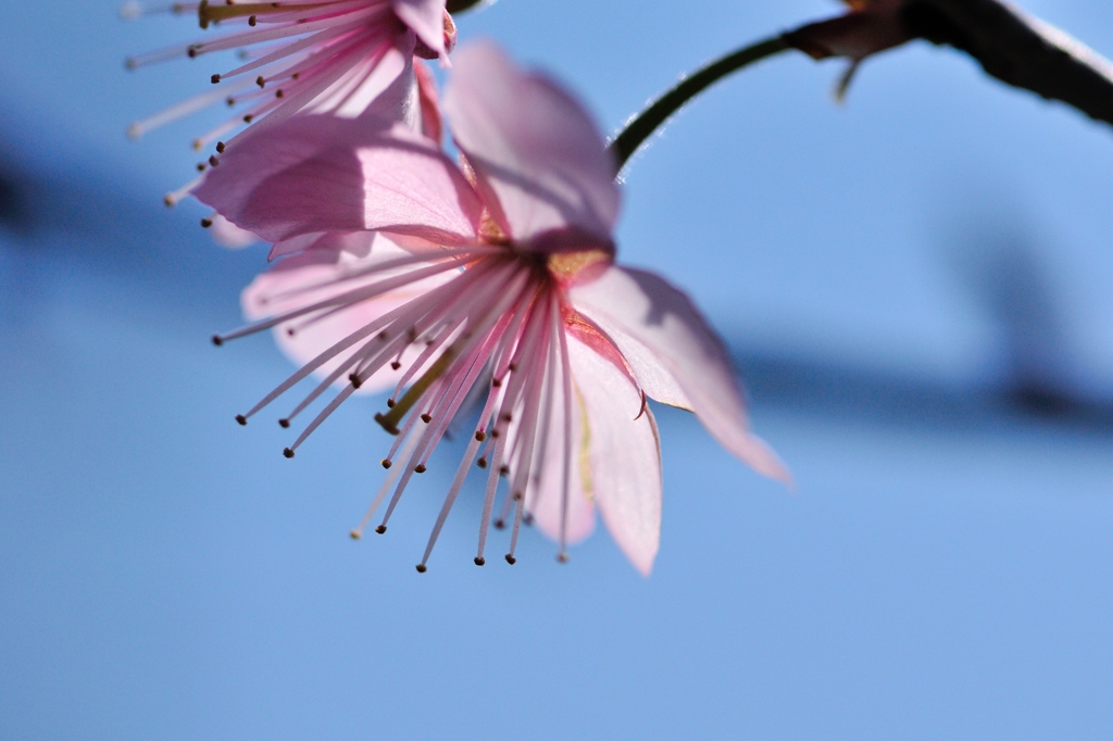 3月6日