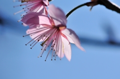 3月6日