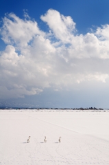 つかの間の晴れ間　お散歩