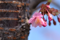 3月6日