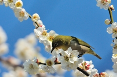3月6日