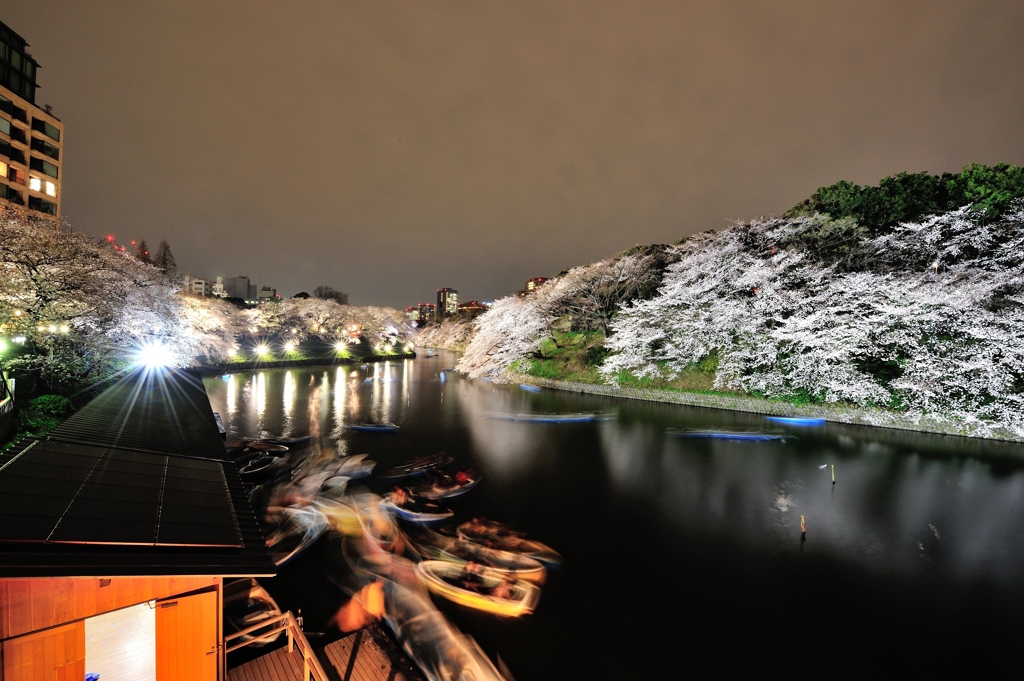 千鳥ヶ淵　夜桜　ボート