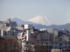 富士山