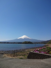 大石公園からの富士山③