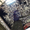 桜の木の下で