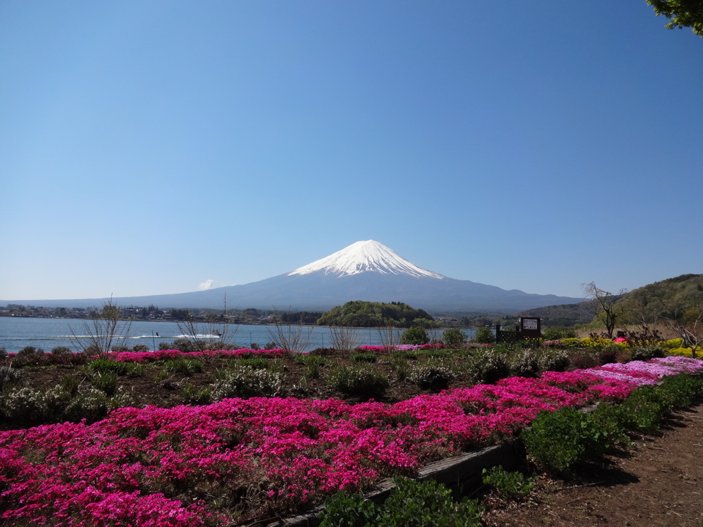 大石公園からの富士山⑥
