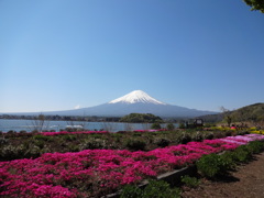大石公園からの富士山⑥