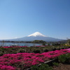 大石公園からの富士山⑥