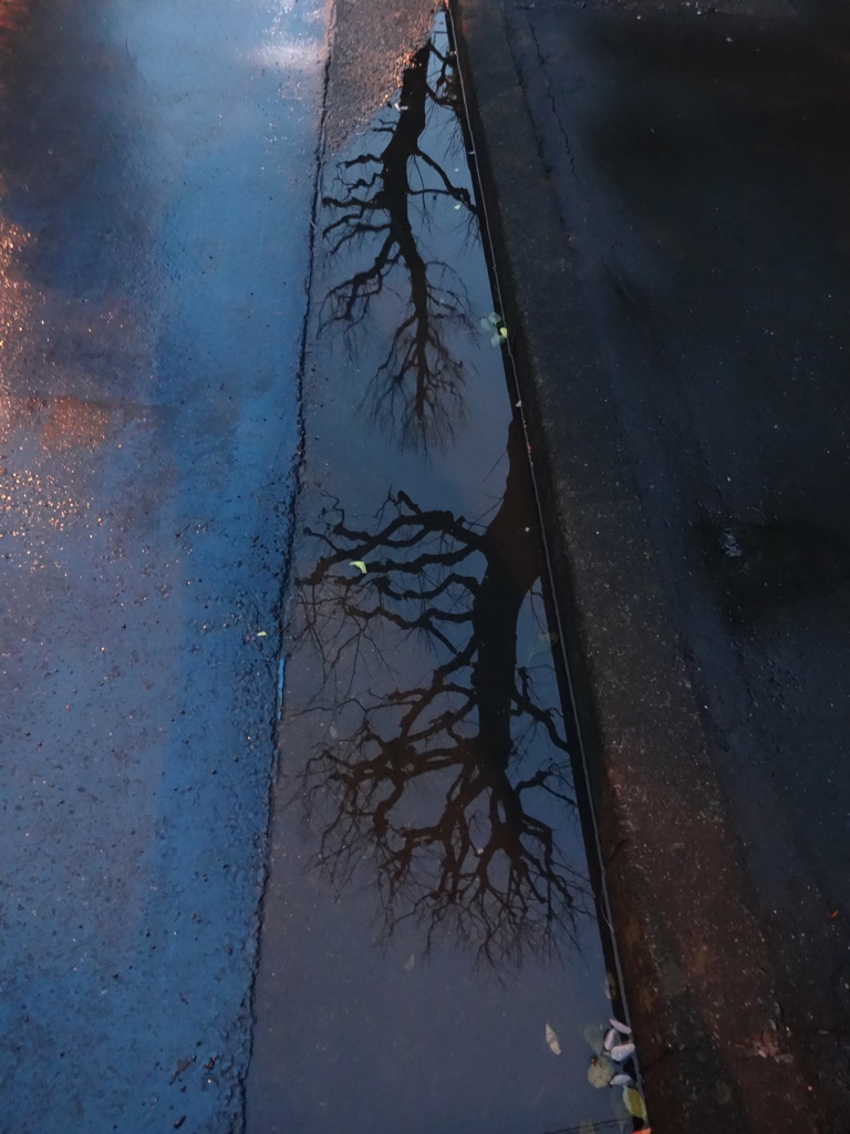 水たまりの影