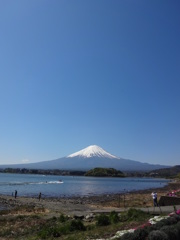 大石公園からの富士山⑦