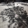 モノトーンツリー