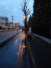 雨上がりの路面