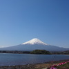 大石公園からの富士山①