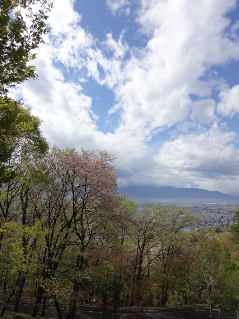 愛宕山にて