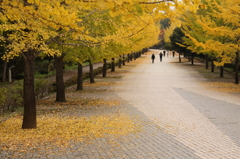 紅葉２０１３