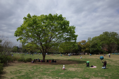 幸せな光景